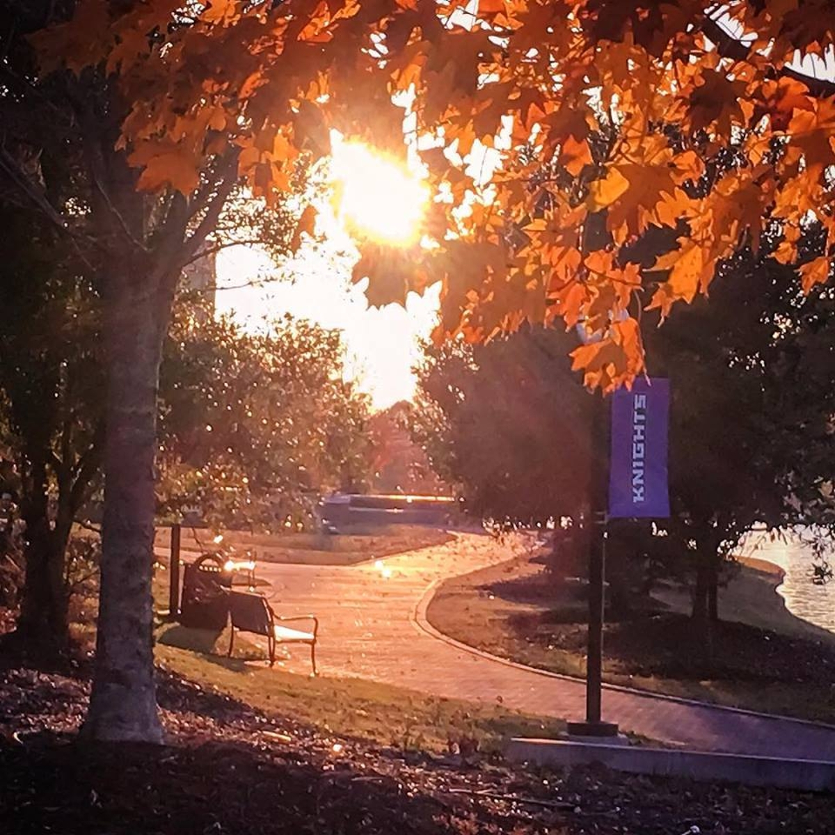 MGA Faculty Perspective: The Science Behind Fall Leaf Colors